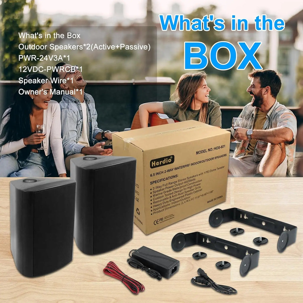 400W Indoor Outdoor Wall Mount Bluetooth Speakers