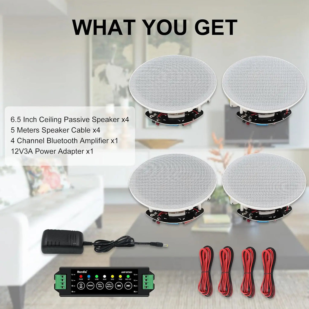 Ceiling Bluetooth Speaker and Receiver
