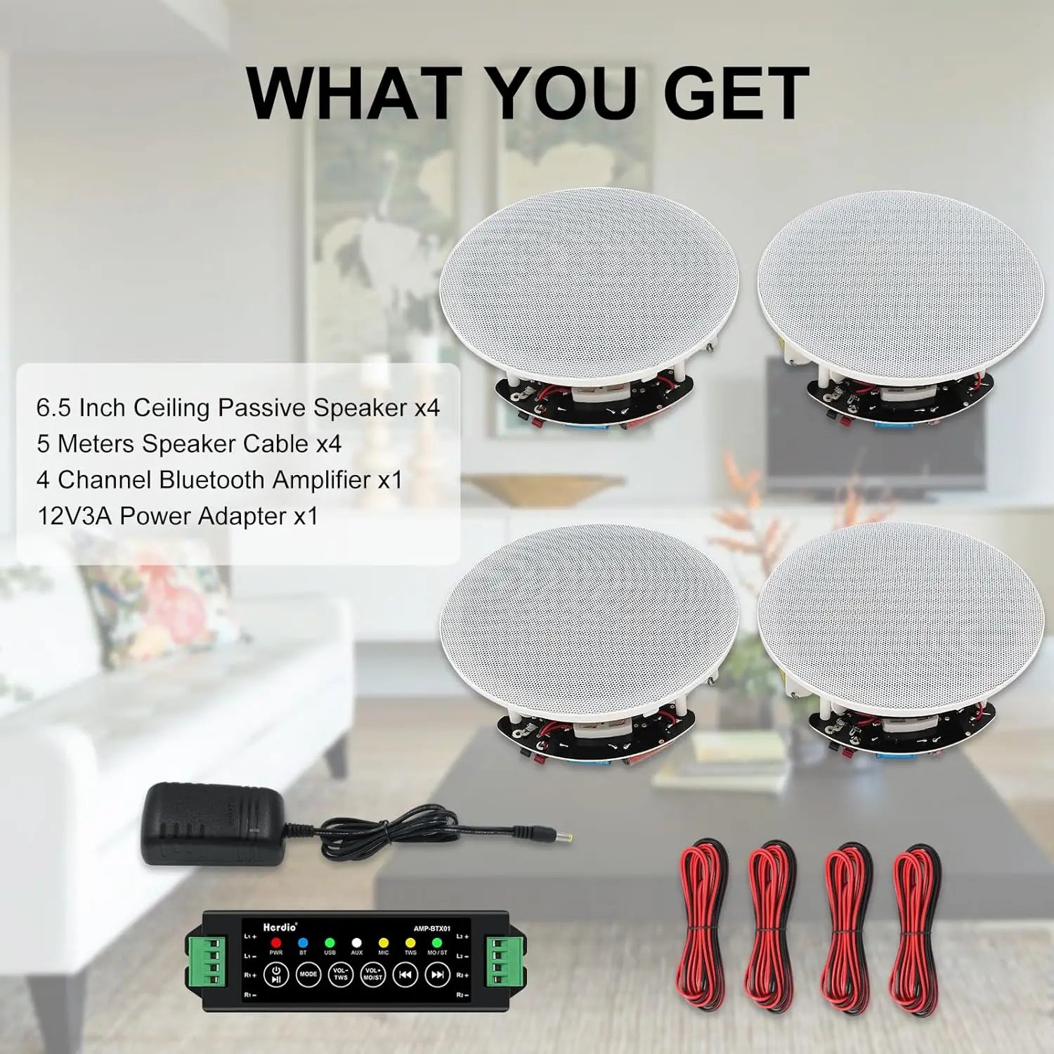 Ceiling Bluetooth Speaker and Receiver